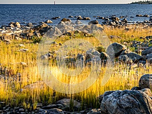 Big stones at baltic sea coast with yellow grass one sunny autumn day with black blue sea horizon