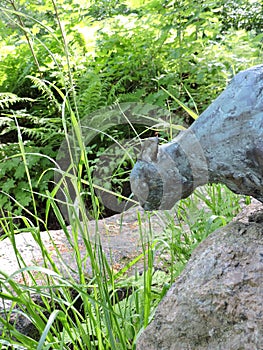 Big  stones, plants, bushes, sculpture of cat in the summer   park,  in Kotka, Finland