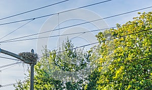 Big stork birds nest build on a dangerous spot at a train railway between the power cables