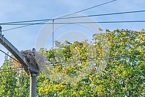 Big storks nest build on a pole at the train railway between the power cables