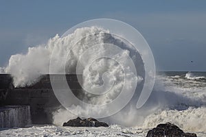 Big stormy wave splash