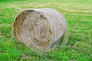 Big straw roll on green field