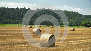 Big Straw roll lying in the farm