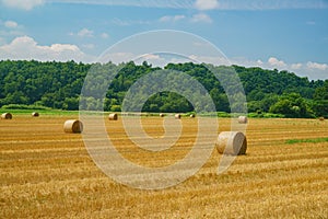 Big Straw roll lying in the farm