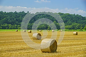 Big Straw roll lying in the farm