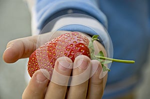Big strawberry