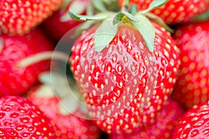 Big strawberry with shalow depth of view