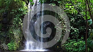 Big streaming water fall in a a tropical rainforest scenery, large tropical Gardens, nature background