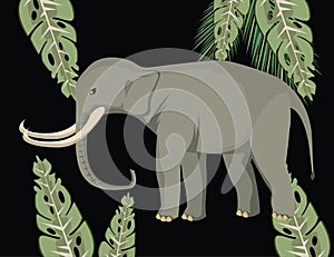 Big strong elephant wild with leafs plant nature scene