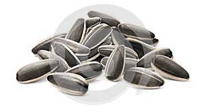 Big sunflower seeds pile with shadow isolated on white background. Side view
