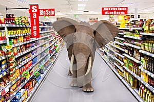 Big supermarket sales elephant