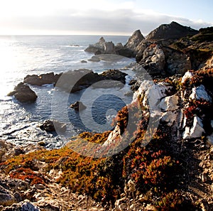 Big Sur photo