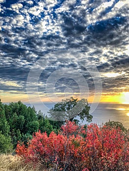 Big Sur, California USA. Coastline