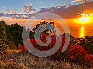 Big Sur, California USA. Coastline, sunset