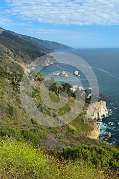 Big Sur coast, near Monterey, California, USA