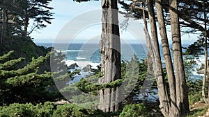 Big Sur State Park scenic landscape with giant waves