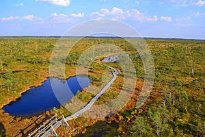 Big swamp wetlands Kemeri national park, Latvia.Travel concept