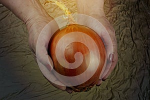 Big sweet onion in woman`s hands, fabric background