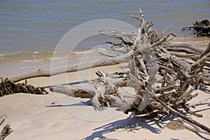 Big Talbot Island photo