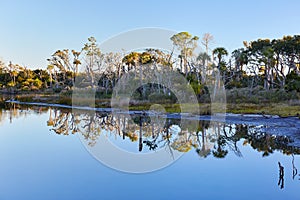 Big Talbot Island State Park, Florida photo