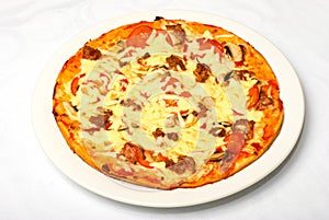 Big Tasty Pizza On White Plate
