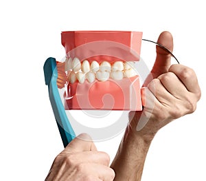 Big teeth dummy and tooth brush show how to properly brush your teeth