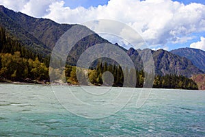 Big and tempestuous river in mountain Altaya