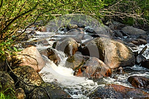 Big Thompson River Rapids