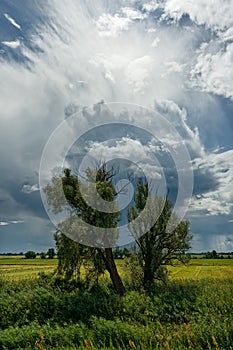 Thunderstorm atmosphere in the Oderbruch