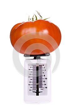 Big Tomato on Kitchen Scale