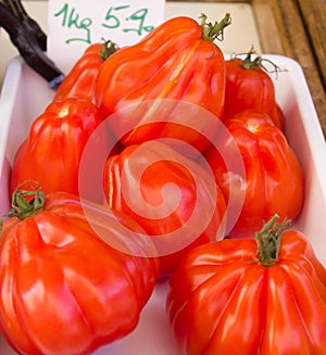 Big tomatoes