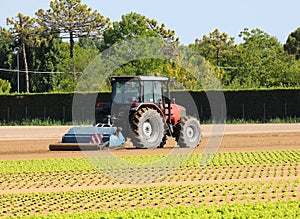 big tractor during the breaking up of the field for sowing the l