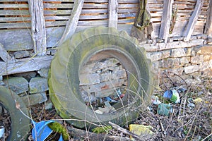 Big tractor tyre with green moss on