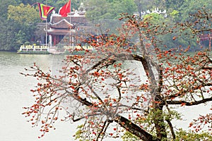 Big tree in the color sky