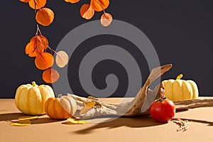 A big tree branch decorated with several pumpkins and a tomato.