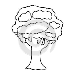 Big tree with branches and leaves