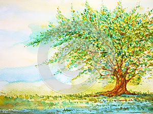 Big tree in grass field and blue sky, watercolor painting on paper