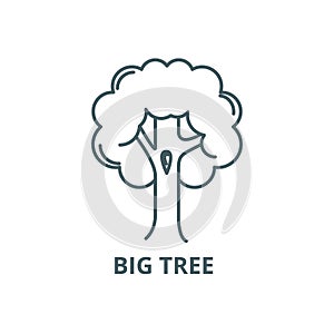 Big tree  line icon, vector. Big tree  outline sign, concept symbol, flat illustration