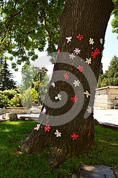 Big tree lined with colorful paper flowers