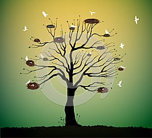 Big tree with many nests and flock of white birds flying, return to the nature home idea, spring nesting,
