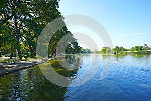 Big tree in park and shadow in water wide angle view