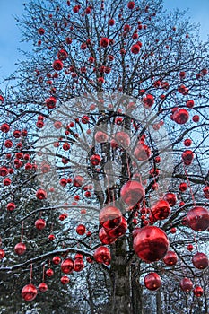 Big tree with red christmas toys