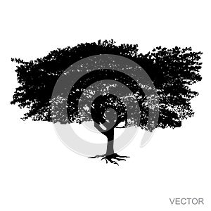 Big tree silhouette Vector isolated on white background