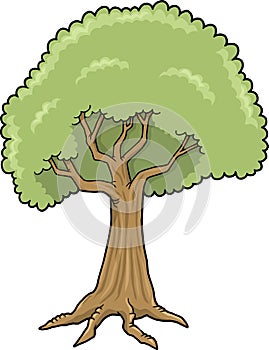 Big Tree Vector Illustration