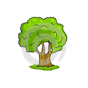 Big tree vector illustration