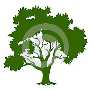 Big tree vector illustration.Green tree