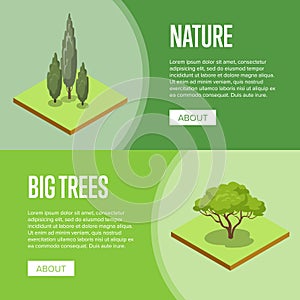Big trees and decorative plants posters