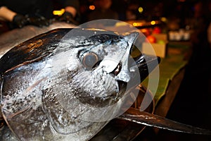 Big tuna in a restaurant, tuna head, tuna on the table, tuna, before preparing dishes, tuna in a plate, assorted, sushi with tuna
