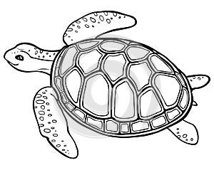 Big turtle - contour drawing, coloring page