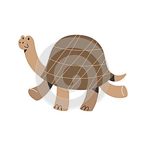 Big turtle with smile and face expression walking, funny mascot, isolated vector illustration on white